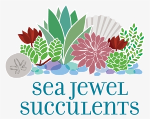 Sea Jewel Succulents & Flora - Acassuso
