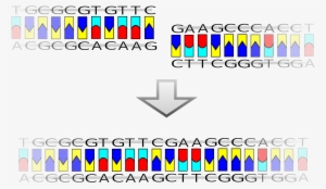 Open - Recombinacion Del Adn En La Naturaleza
