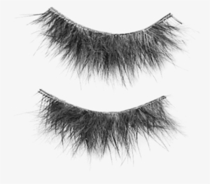 Eyelashes Psd, Free Vectors - Eyebrows Transparent Background Psd