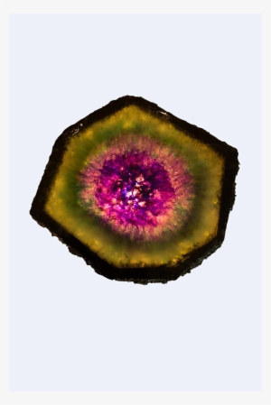 Size Guide - Giant Granadilla