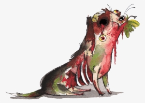 Anita Punton On Twitter - Cockatiel