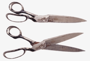 Pair Of Vintage Scissors - Vintage Scissors