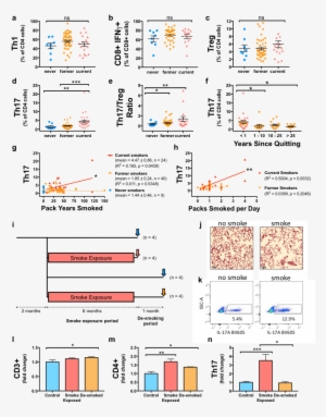 Th17 Differentiation In Humans And Mice Is Associated - Diagram