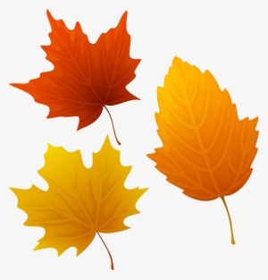 Autumn Leaves Cliparts Msr-7 - Autumn Leaves Clipart