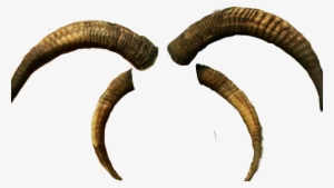 Vector Black And White Library Horns Transparent Goat - Horn