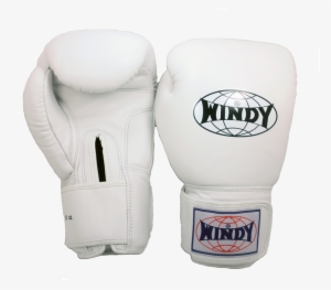 Windy Boxing Gloves