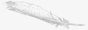 Download Png Image Report - Feather Clip Art