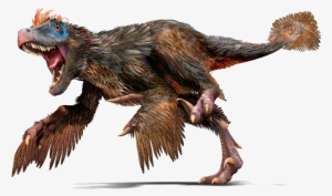 Velociraptor Feathers