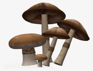 Mushroom Png Image Background - Clip Art