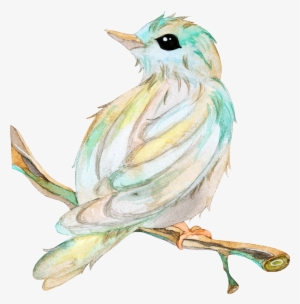 Bird Owl Beak Clip Art Branches Transprent - Bird