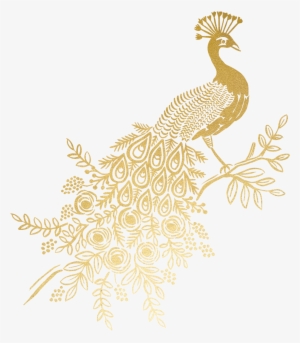 Gold Peacock