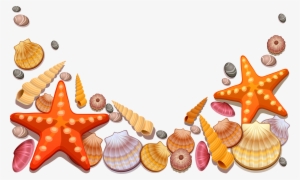 Image Royalty Free Library Colorful Seashell Clipart - Sea Shells Shower Curtain