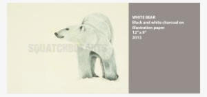 Whitebearwm - Polar Bear