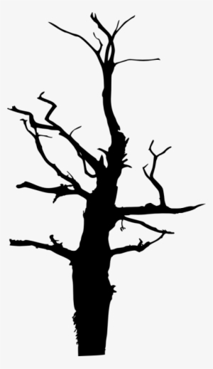 Free Png Dead Tree Silhouette Png Images Transparent - Portable Network Graphics
