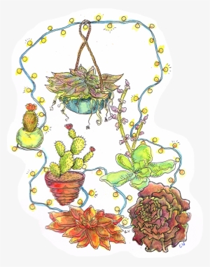 >ink And Watercolor >commission Pricing Here - Cactus