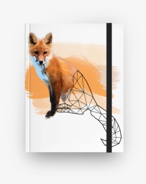 Caderno Watercolor Fox De Felipe Gomesna - Watercolor Painting