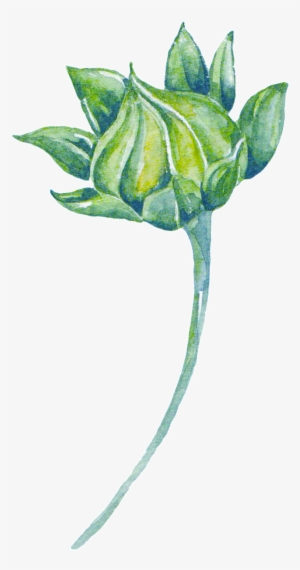 Green Watercolor Plant Cartoon Transparent - Watercolor Painting