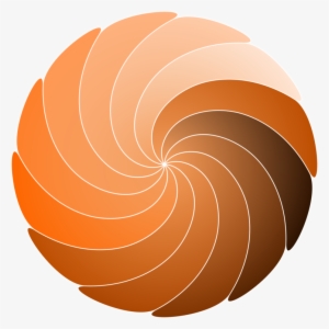 Golden Spiral Shape Drawing Spiral Galaxy - Spiral Shapes