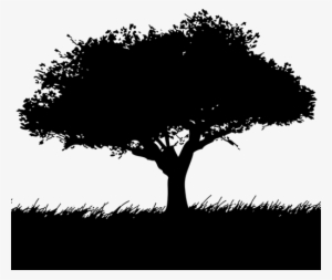 Property Maintained By - 2d Landscape