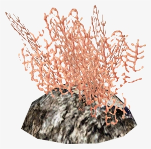 Red Fire Coral - Art