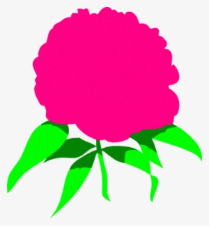 Peony - Clip Art