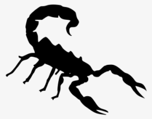 Scorpion Svg Vector File, Vector Clip Art Svg File - Scorpions Clipart
