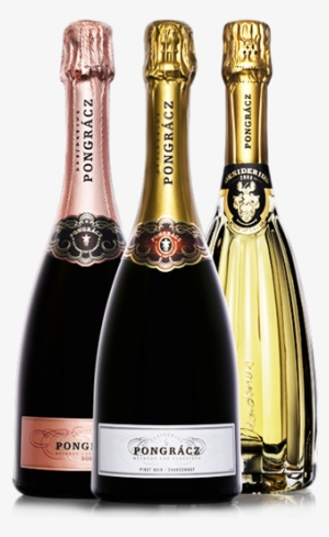 Bottles - Champagne Brands South Africa