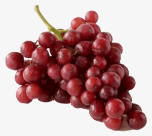 Fresh Fruit - Grapes Fruit