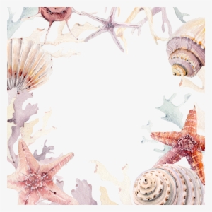 Clipart Library Download Invitation Beach Convite Conch