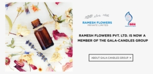 Screen Shot 2018 08 03 At - Creatief Met Kruiden En Essentiele