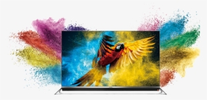 Photography - Beautiful Parrot Pillow Case