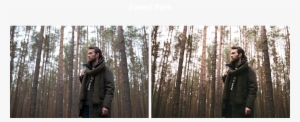 On1 Cinematic Color Grading Luts - Grove