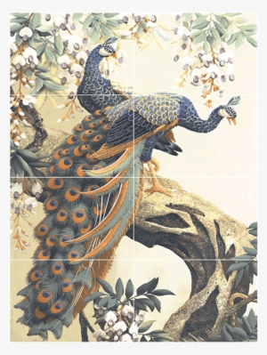 Peacock Poster - Peacock Poster Tiles