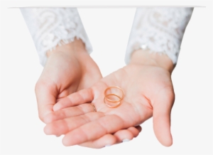 Wedding Dream - 3 Picture Brushed Aluminium Satin Silver Colour