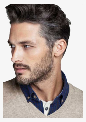 Extended French Lace Is A Ultra Thin Lace Which Makes - Best Profile Picture For Man