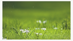 Water Harvesters Company, Water Harvesting Solutions, - Background Image For Html Website