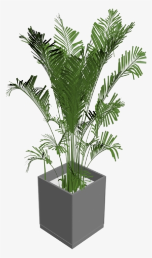 Green Indoor Plants Png - 3d House Plant Png
