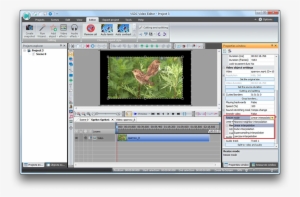 Advanced Resizing Mode - Vsdc Spline Parameters