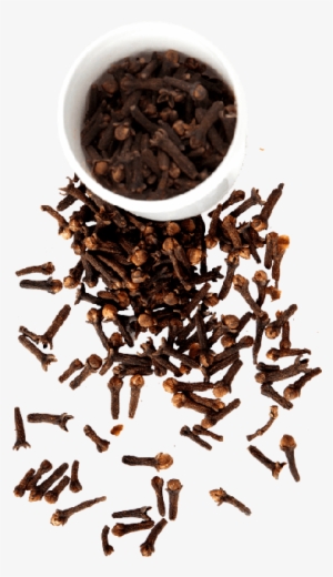 Cloves, Whole - Transparent Clove Png