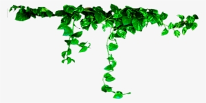 All Editing Grass Png Zip File, Photoshop All Editing - Transparent Plants