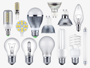 Light Bulbs - Led Light Bulb Singapore