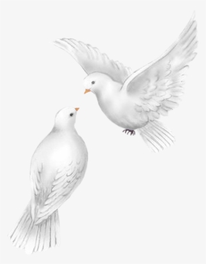 Penny Parker - Palomas Blancas De Boda Png
