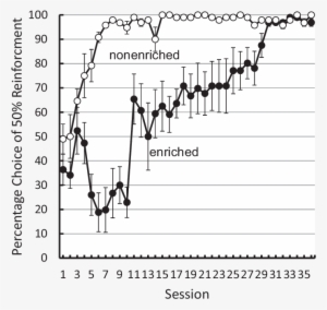 Suboptimal Choice By Pigeons With 4 Hr Of Enriched - Pigeons And Doves