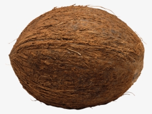 Date - Coconut On Transparent Background