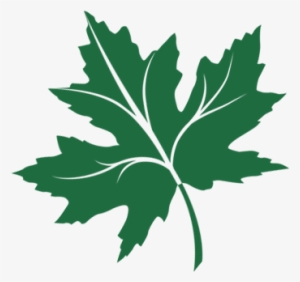 Chinar Leaf Png - Chinar Logo