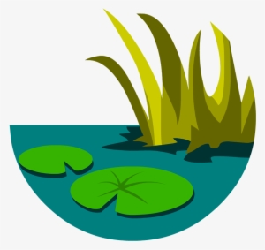 Everglades - Clipart Of Everglades