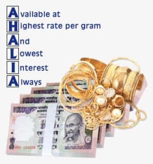 Ahalia Exchange India - Metal Detecting For Profit - Lost Item Recovery