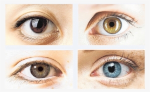 All Natural, Organic Color Changing Eye Drop - Icolour Eye Drops Before And After