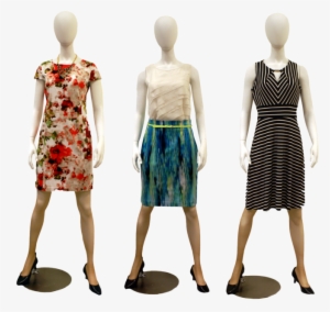 Vector Free Library Professional Semi To Washington - Mannequin With Dress Png