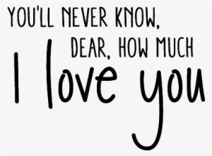 You'll Never Know Dear, How Much I Love You - Love You You Never Know